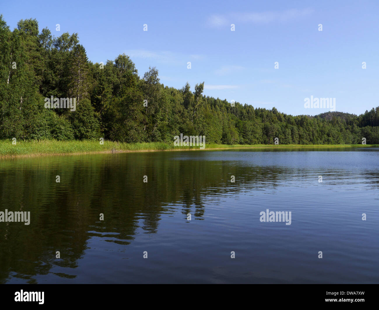 Höga Kusten (hohe Küste), Västernorrlands Län, Bottnischen Meerbusen, Fjärdbotten, Schweden Stockfoto