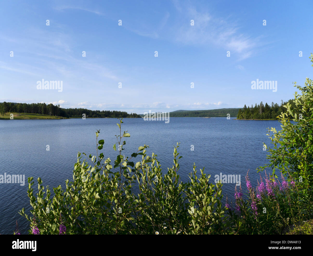 Höga Kusten (hohe Küste), Västernorrlands Län, Bottnischen Meerbusen, Lustholmen, Schweden Stockfoto