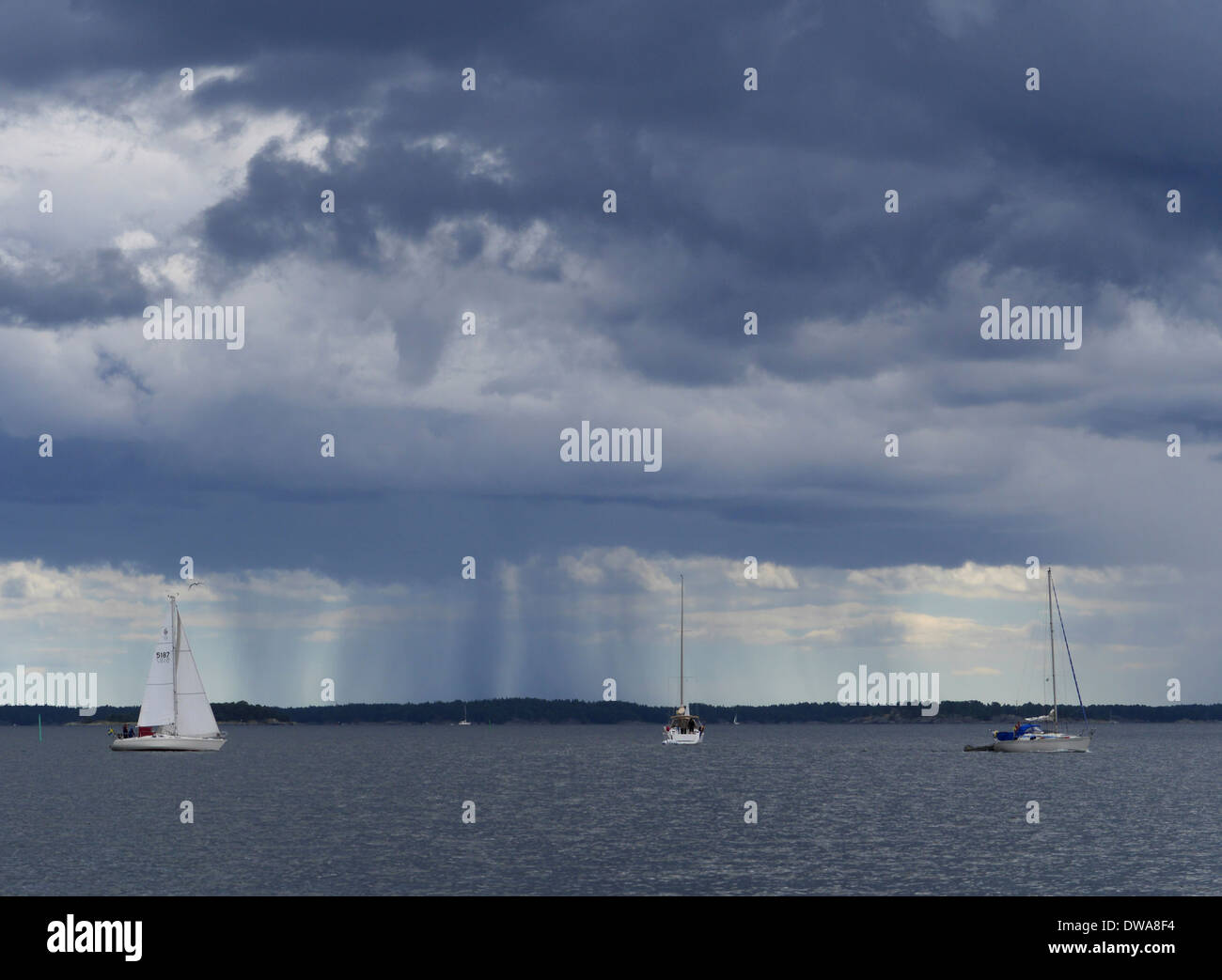 Regen Sie in den Schären von Stockholm, Stockholms Län, Schweden Stockfoto