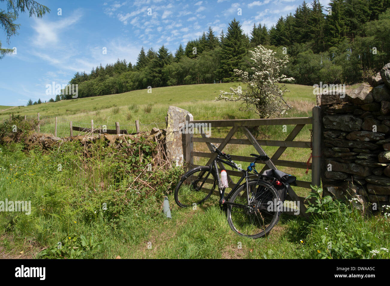 Fahrrad gegen ein Feld Tor auf einem Straßenrand in der Nähe von Coniston im englischen Lake District ruht Stockfoto