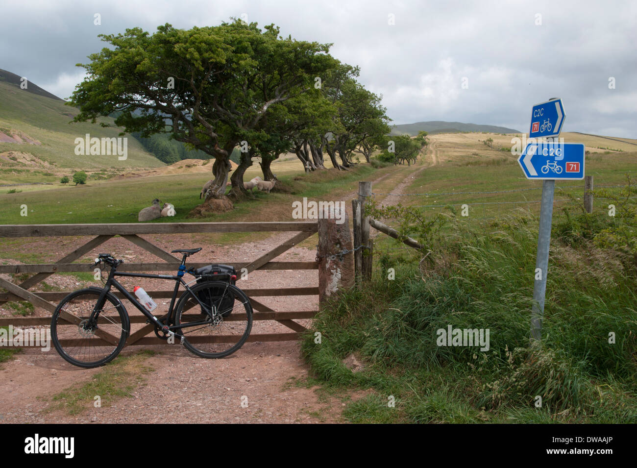 Ein Fahrrad auf dem C2C (SUSTRAN Route 71) gegen ein Feld Tor am Anfang eines Weges an Croasdale, Cumbria, England. Stockfoto