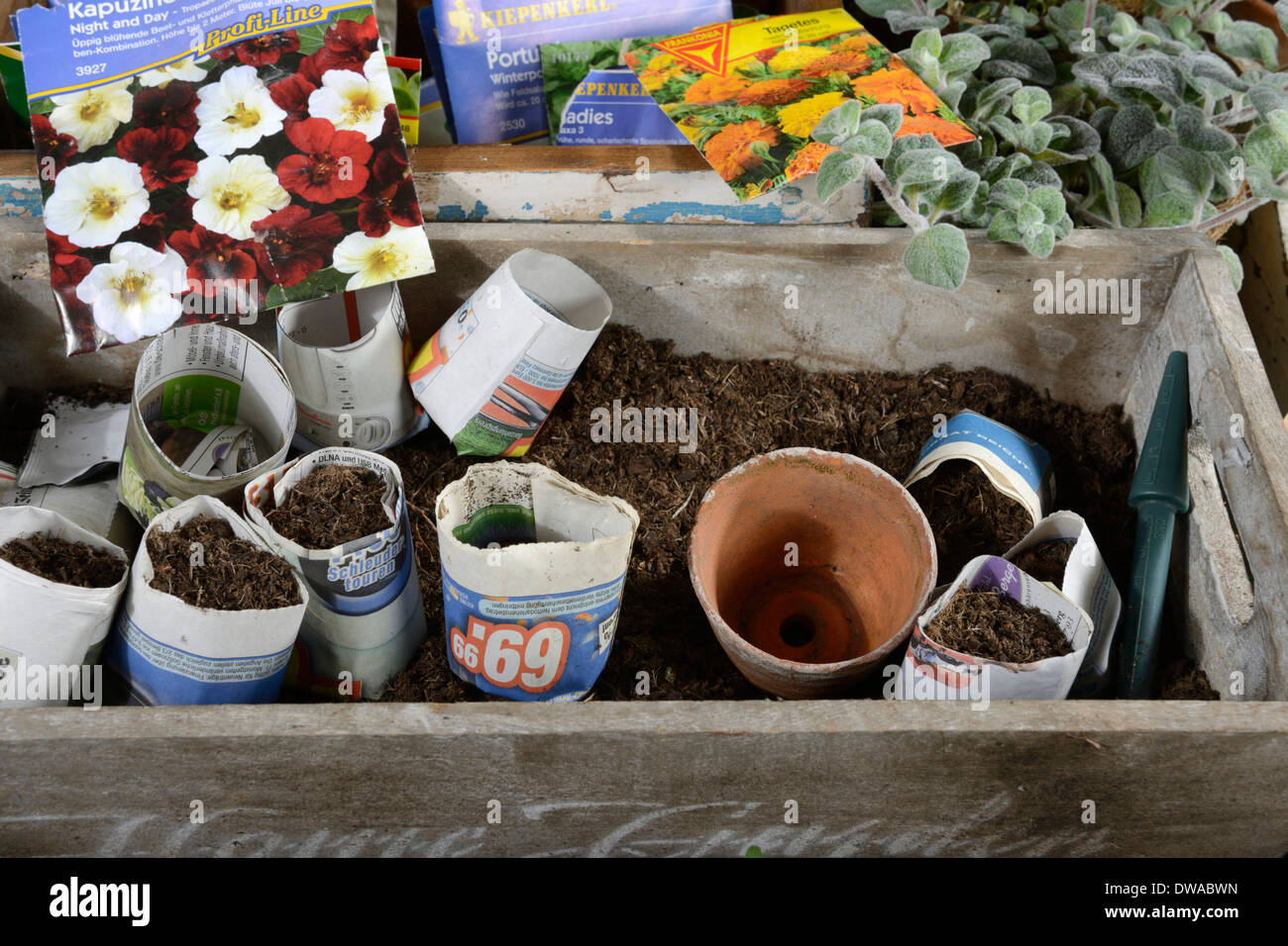 Papier-Töpfe Stockfoto