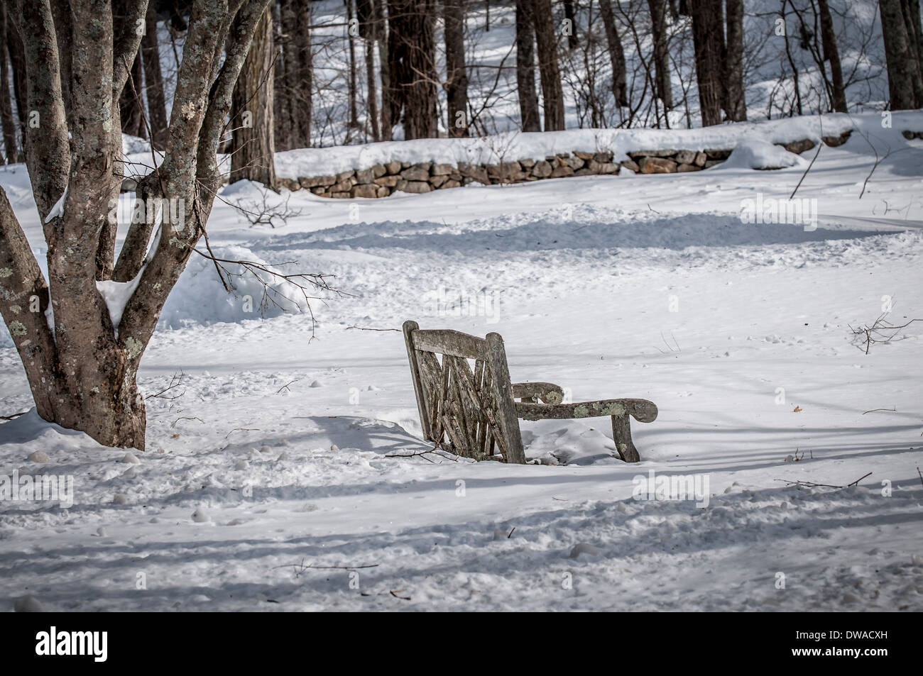 "KEINE HOT SEAT HIER..." An fast jedem Sonnentag sieht man Menschen sitzen im Park auf den Bänken, aber nicht an Tagen wie heute. Stockfoto