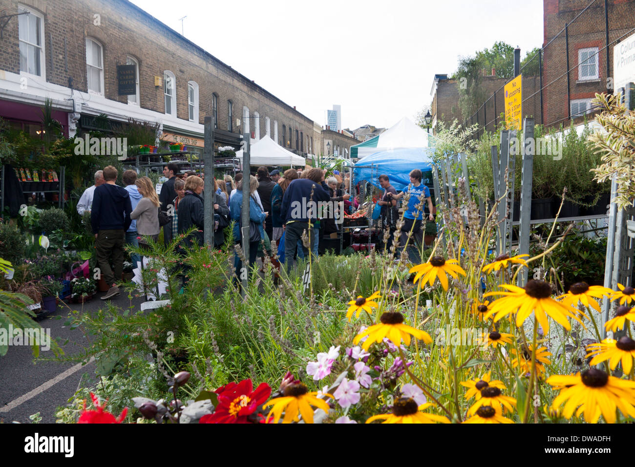 Columbia Road Flower Markt Bethnal Green London England UK Blumen am Stall im Vordergrund Menschen Surfen im Hintergrund Stockfoto