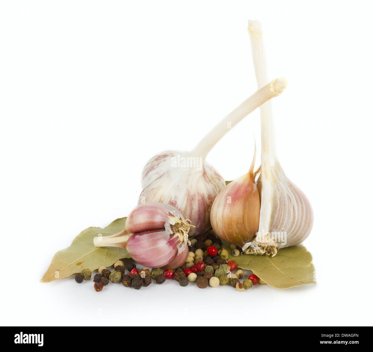 Knoblauch auf weißem Hintergrund Stockfoto