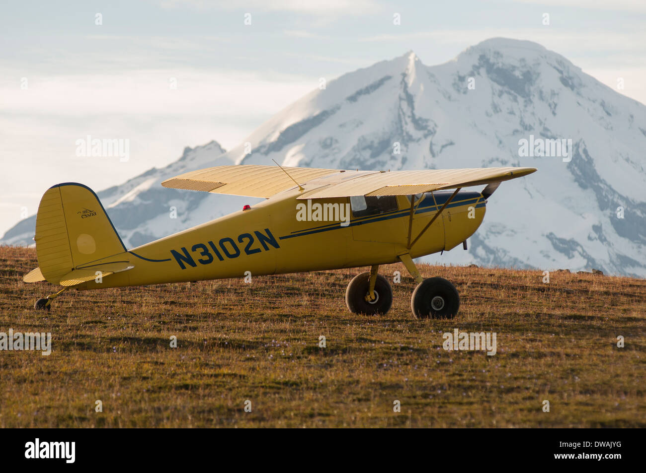 Gelbe Cessna 120 einmotorigen Buschflugzeug in der Tundra in den Bergen vor Mount Redoubt Vulkan, Alaska Stockfoto