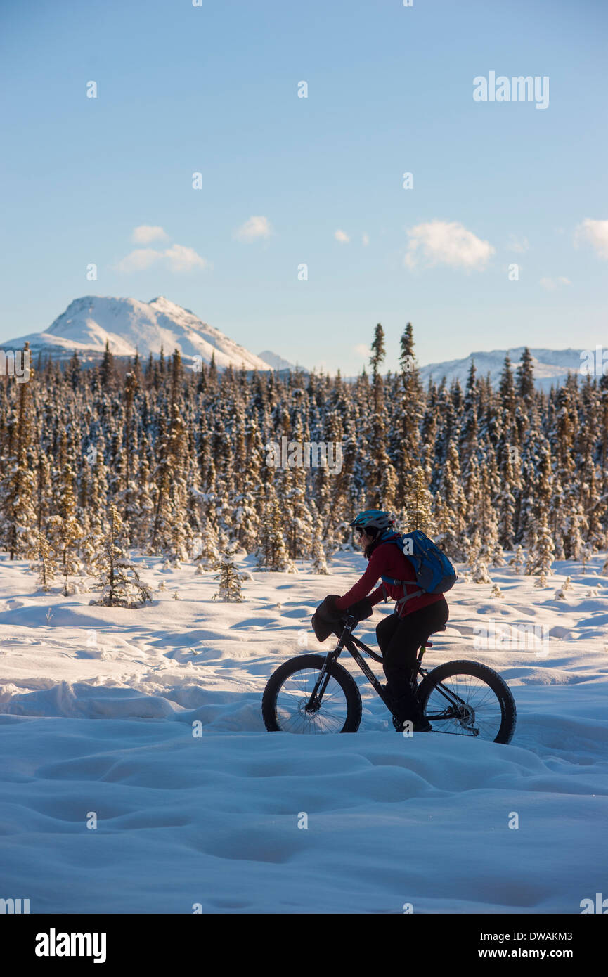 Foto der Person Reiten Fette Reifen Snowbike auf dem Speedway-Trail, Campbell Wanderwege, Anchorage, gedreht von der Seite Stockfoto