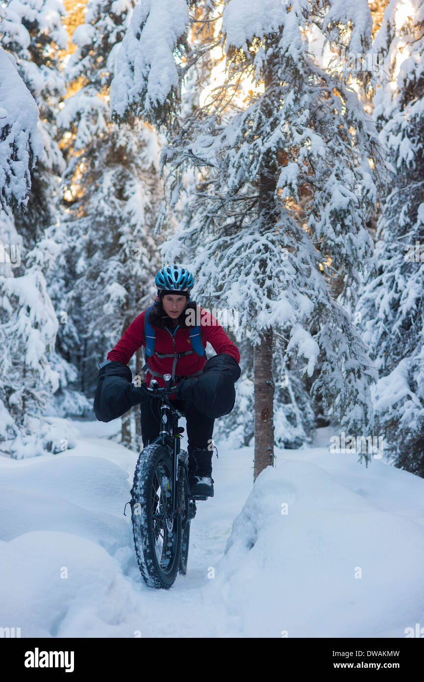 Foto der Person, die mit fetten Reifen Schnee Fahrrad auf dem Speedway-Trail, Campbell Wanderwege, Anchorage, Stockfoto