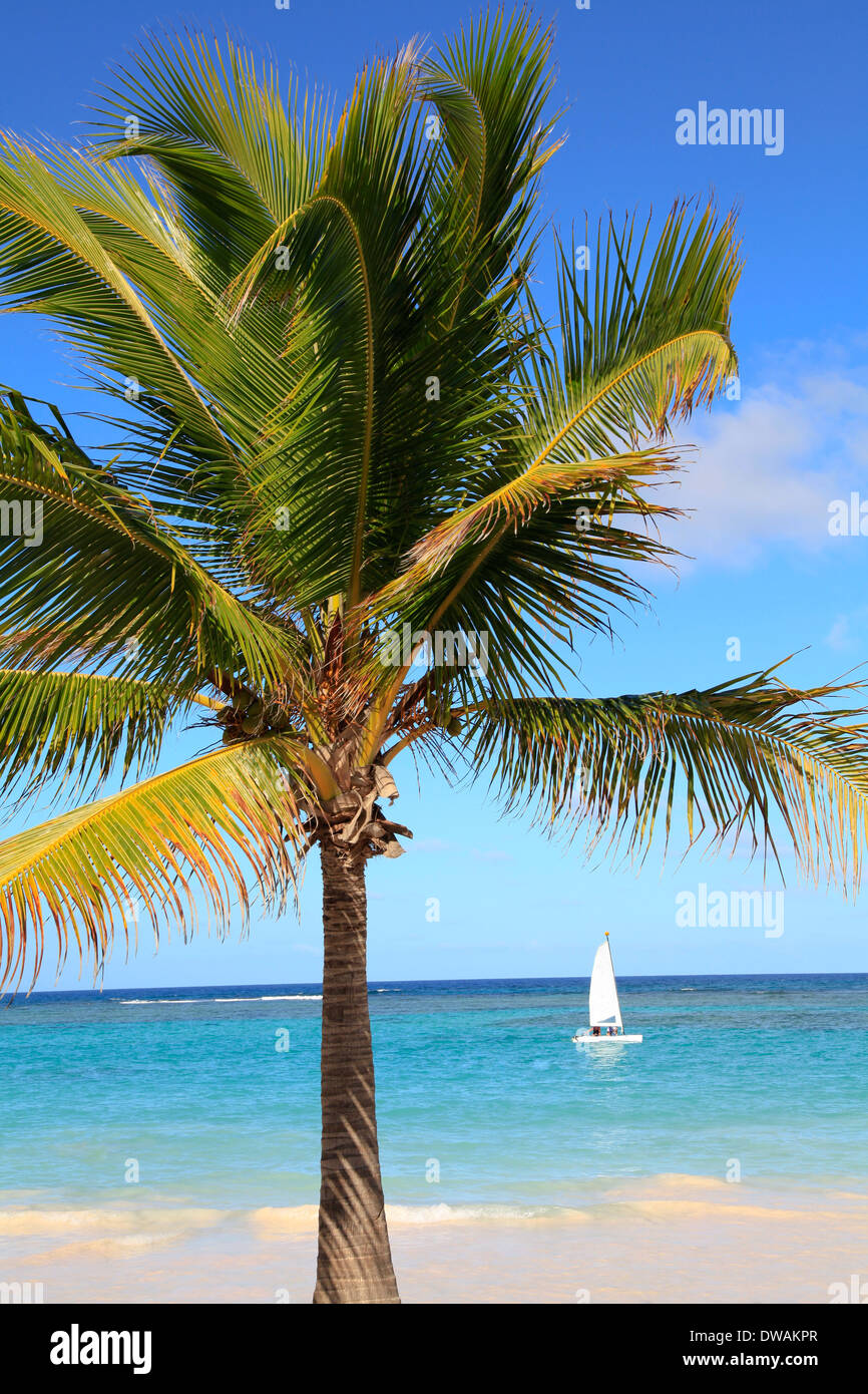 Exotischen Strand, Karibik Stockfoto