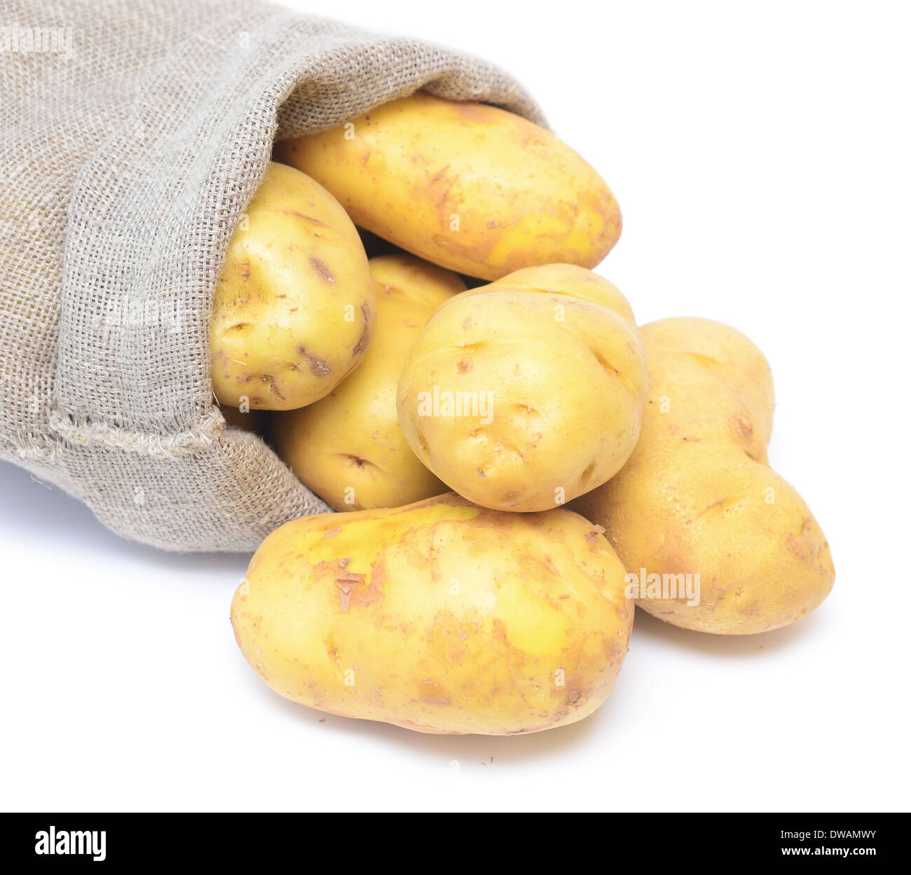 Kartoffeln isoliert auf weißem Hintergrund Stockfoto