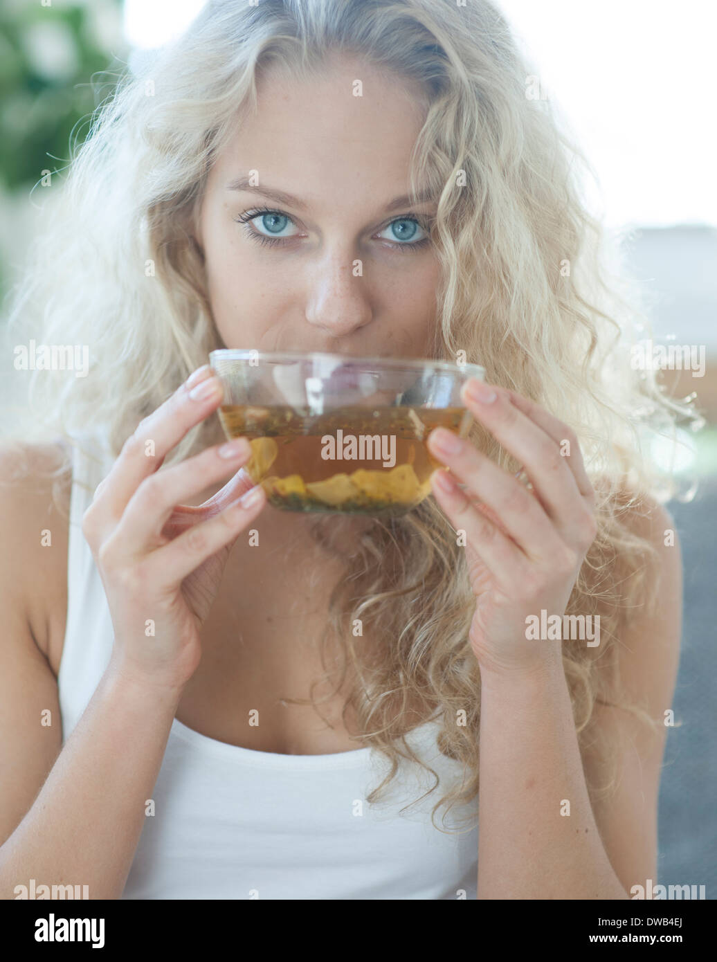 Porträt der jungen Frau trinken Kräutertee Stockfoto