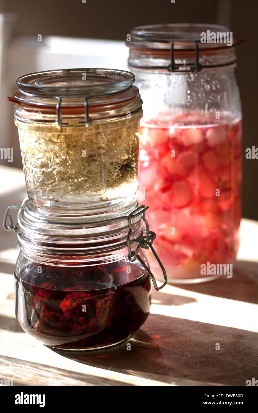 Eichenmoos Gin, Rhabarber Wodka und Blackberry Wodka / Infusionen Stockfoto