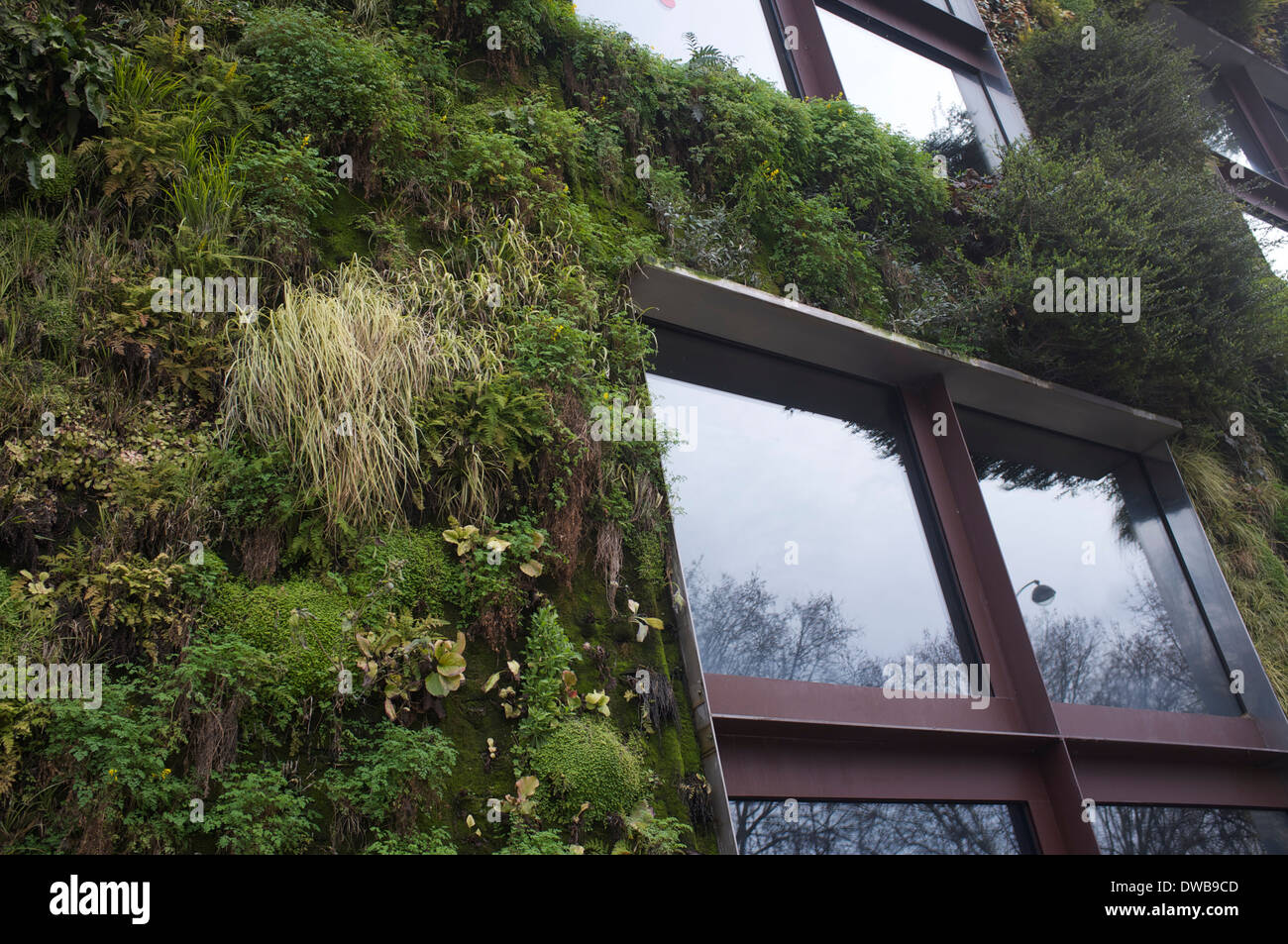 Musée du Quai Branly - grüne Gebäude mit einem großen grünen Wand Stockfoto