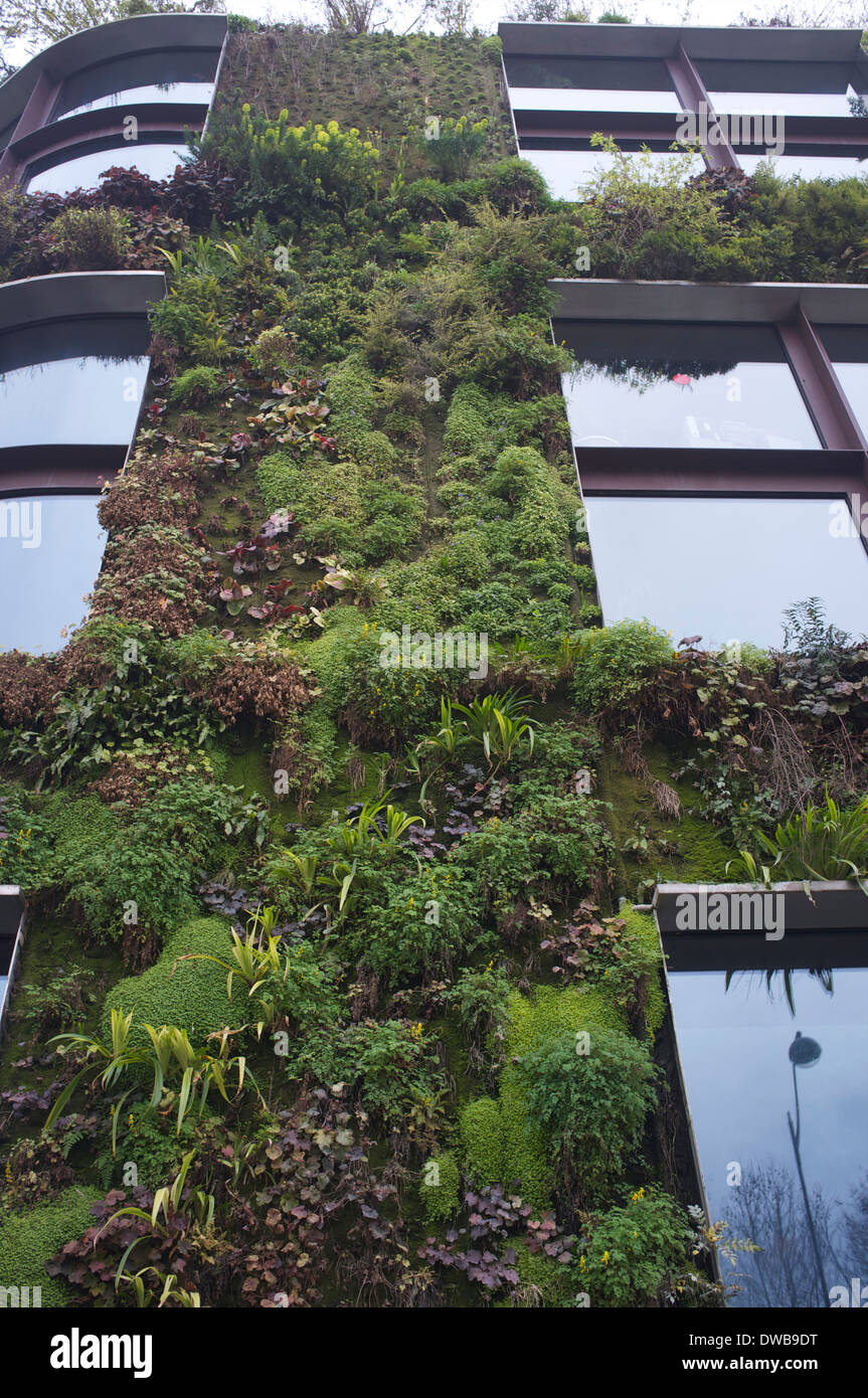 Musée du Quai Branly - grüne Gebäude mit einem großen grünen Wand Stockfoto