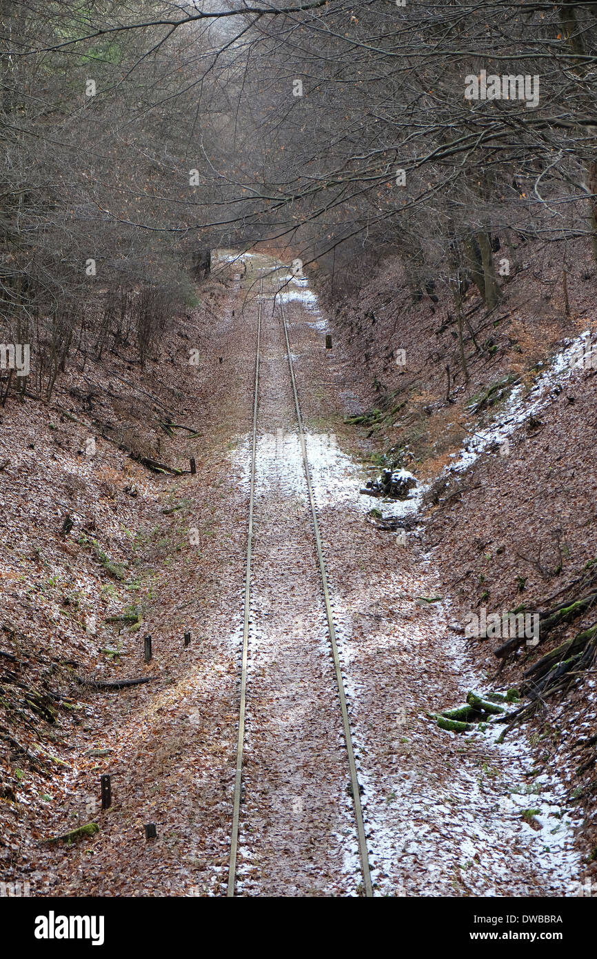 Deutschland, Hessen, Wiesbaden, verlassene Bahnstrecke im winter Stockfoto