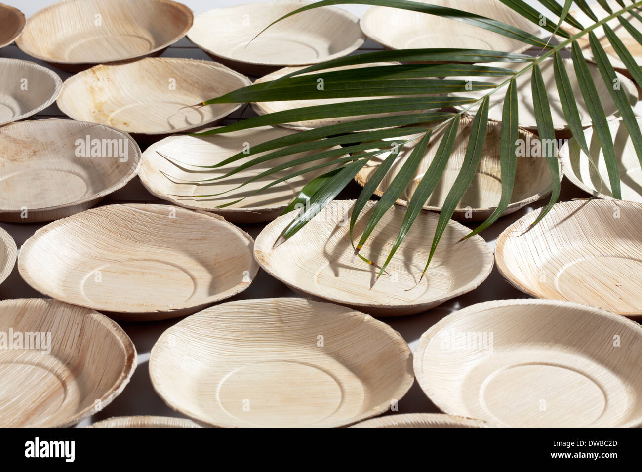 Palm Leaf Platten und Palmwedel, Studio gedreht Stockfoto