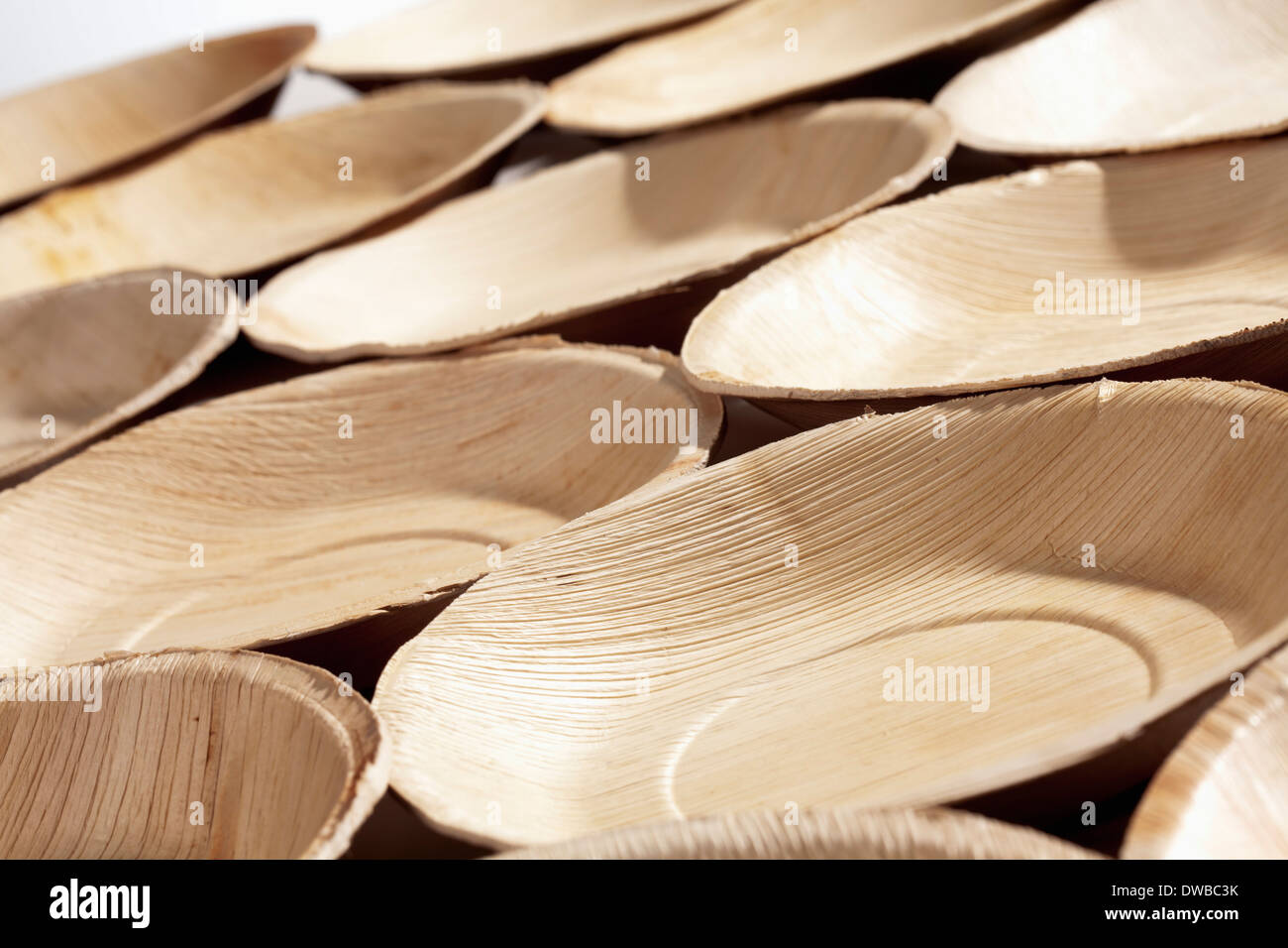 Viele palm Leaf Platten, Studio gedreht Stockfoto