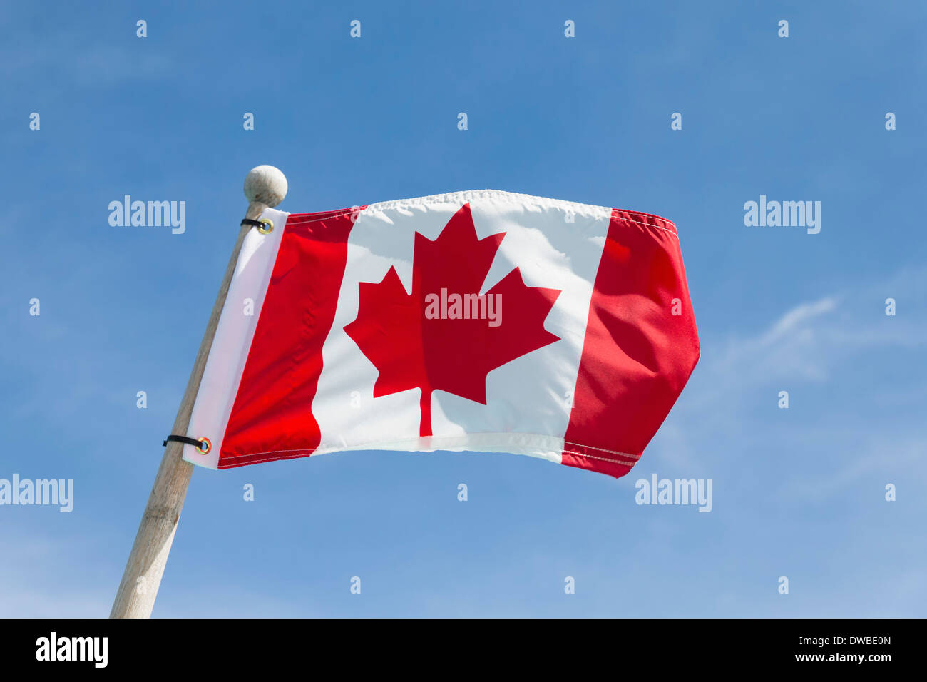 Kanadische Flagge Stockfoto