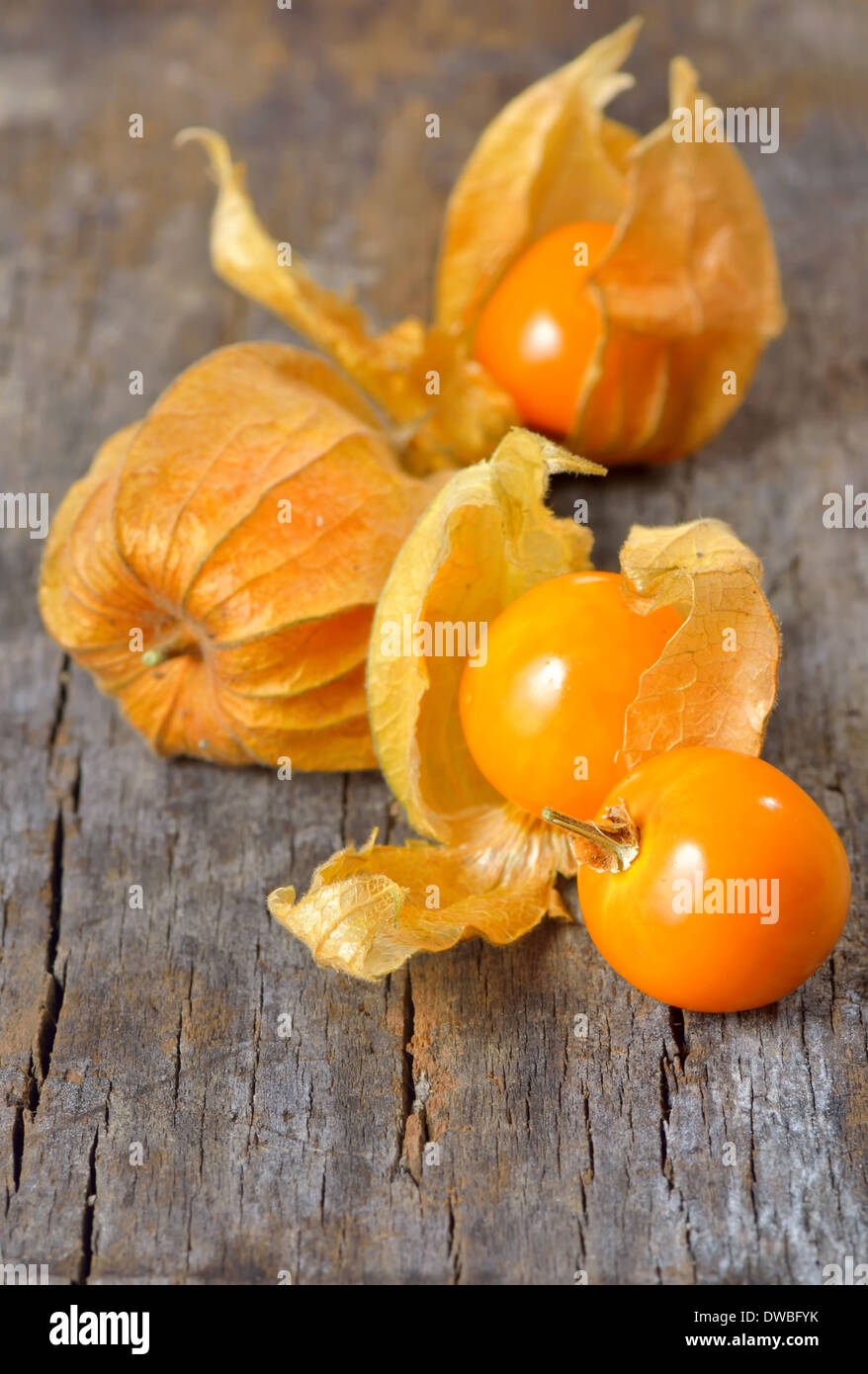 Physalis Früchte auf altem Holz Stockfoto