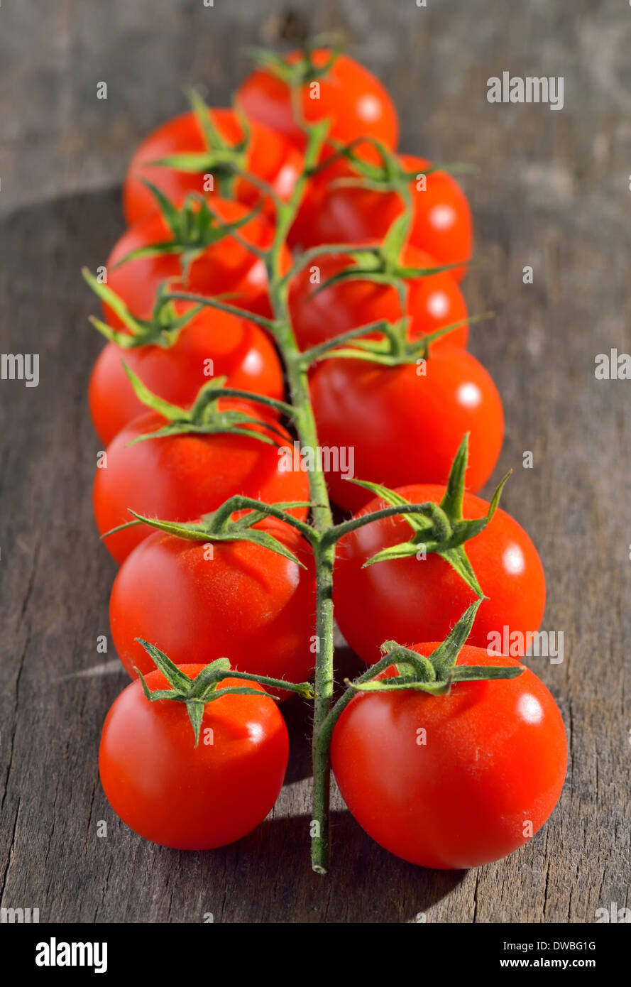 Zweig der Cherry-Tomaten, isoliert auf weiss Stockfoto
