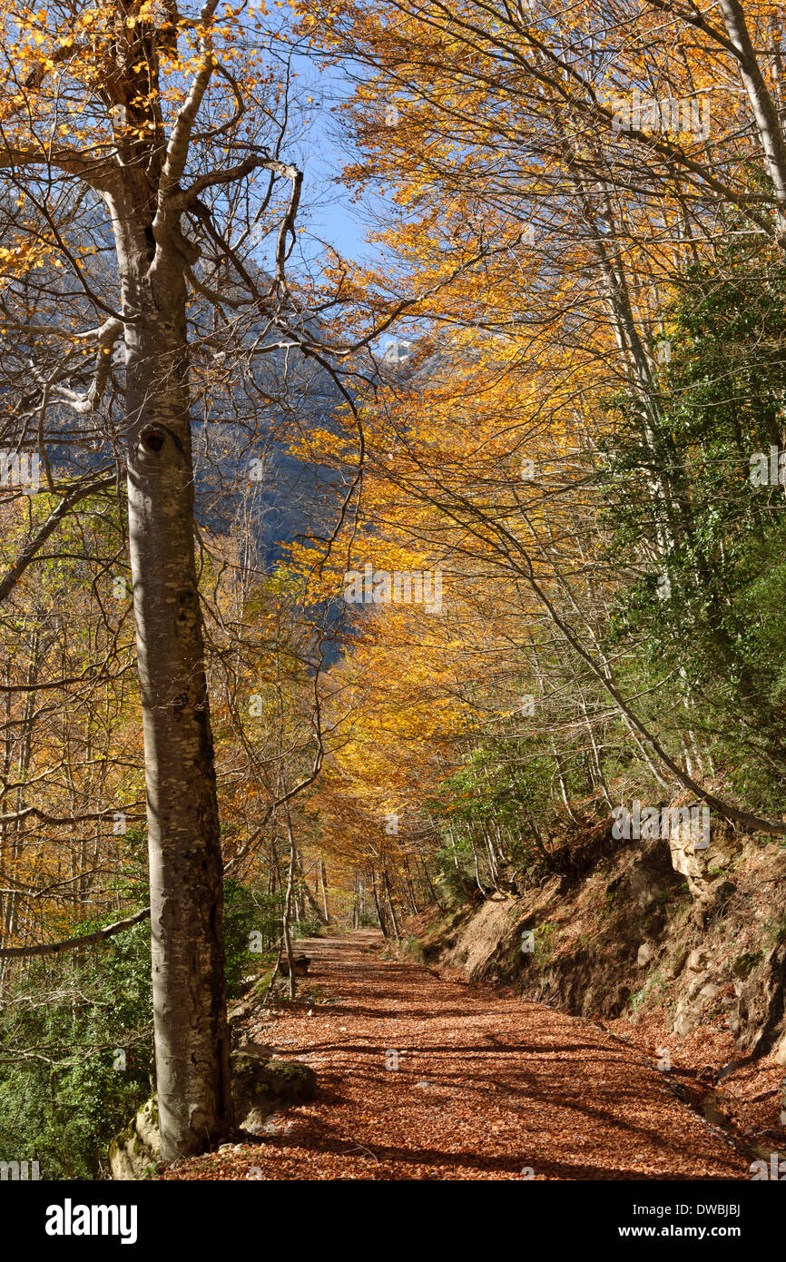 Spanien, Nationalpark Ordesa y Monte Perdido, Wanderweg in den Llanos De La Larri Stockfoto