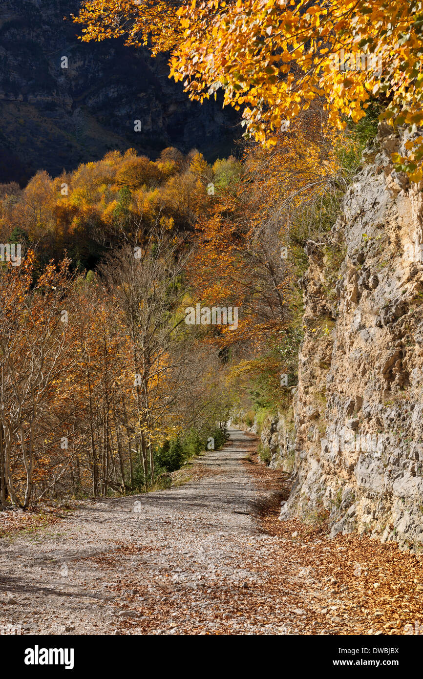 Spanien, Nationalpark Ordesa y Monte Perdido, Wanderweg in den Llanos De La Larri Stockfoto