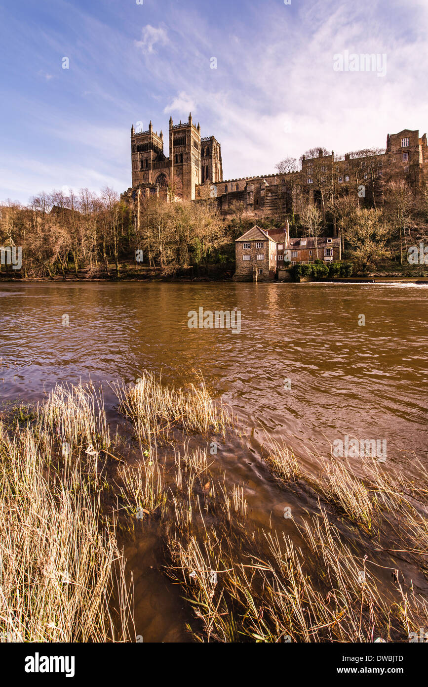 Ein Blick auf Durham Kathedrale, UK vom Fluss. Stockfoto