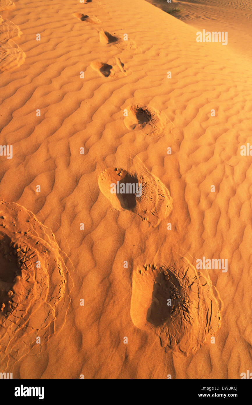 Wüste Rub al Khali - Ras al Khaima Stockfoto