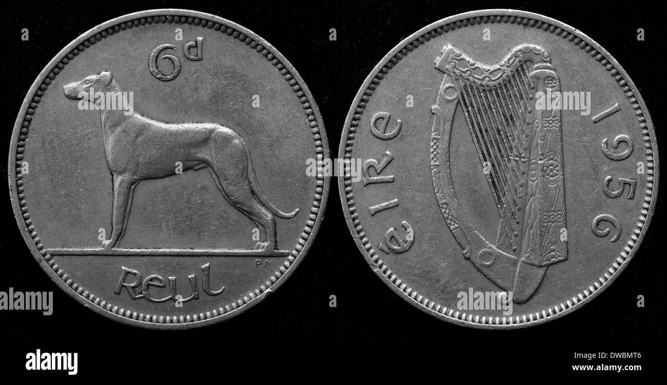 6 Pence Münze, Irish Wolfhound, Irland, 1956 Stockfoto