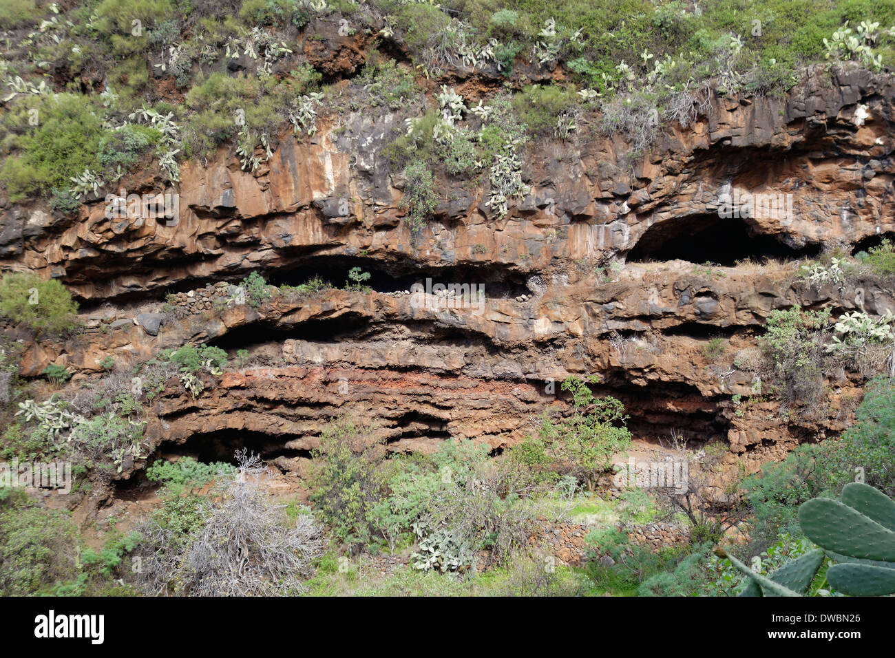 Spanien, Kanarische Inseln, La Palma, Höhlen Cuevas de Burracas in der Nähe von Las Tricias Stockfoto