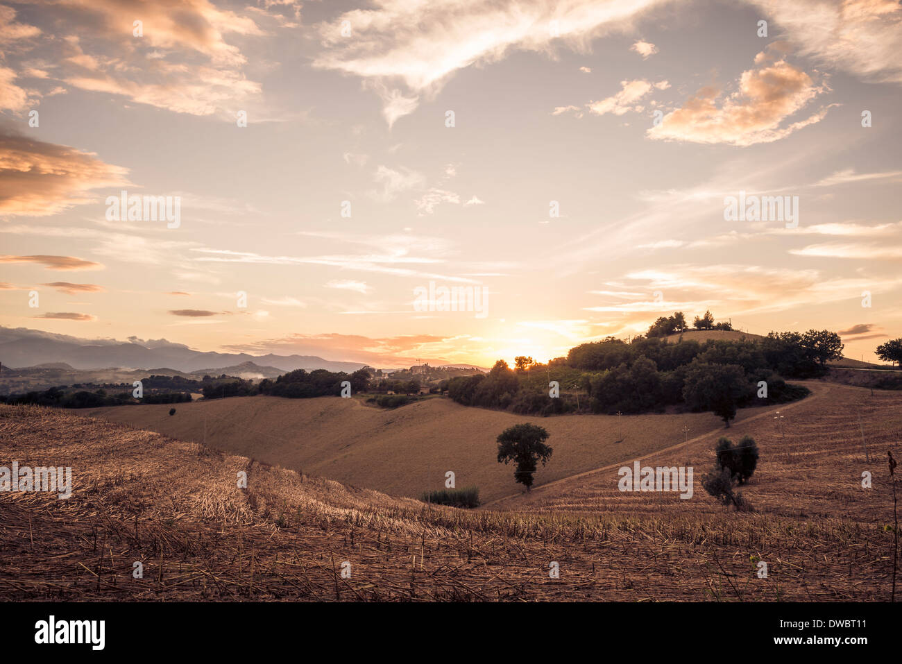 Geerntete Felder bei Sonnenuntergang, La Marche, Italien Stockfoto