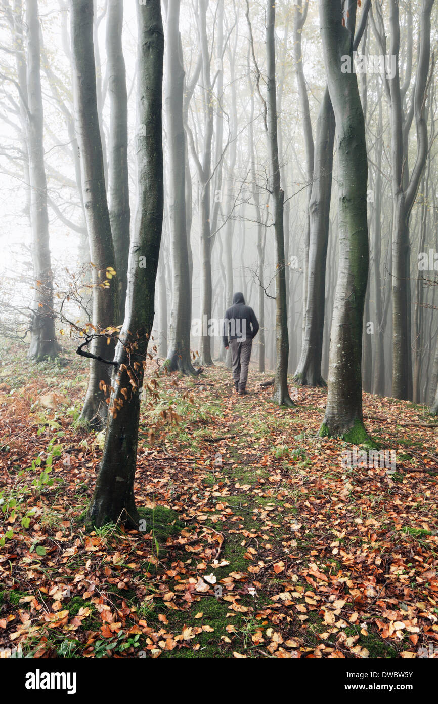 Geheimnisvoller Mann zu Fuß durch den nebligen Wald. Stockfoto