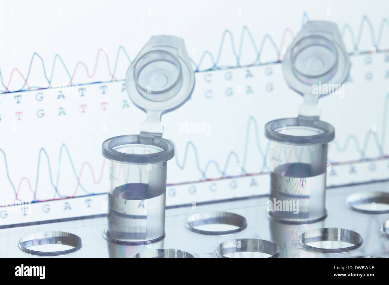 Eppendorf Mikrozentrifugenröhrchen, DNA-Sequenzierung im Hintergrund Stockfoto