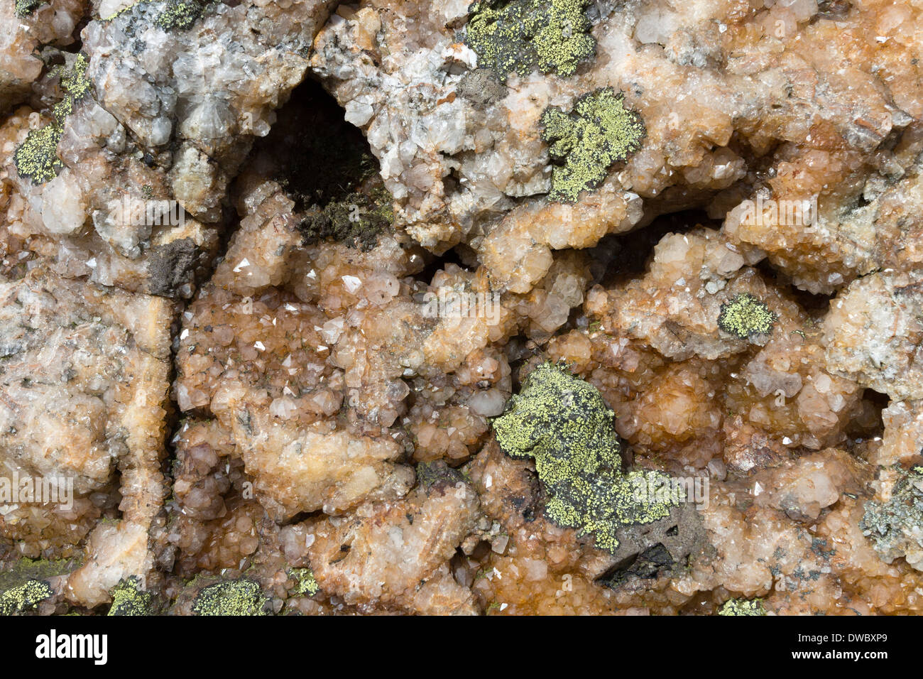 Nahaufnahme von einem Boulder bedeckt in Kristallen Weardale County Durham UK Stockfoto