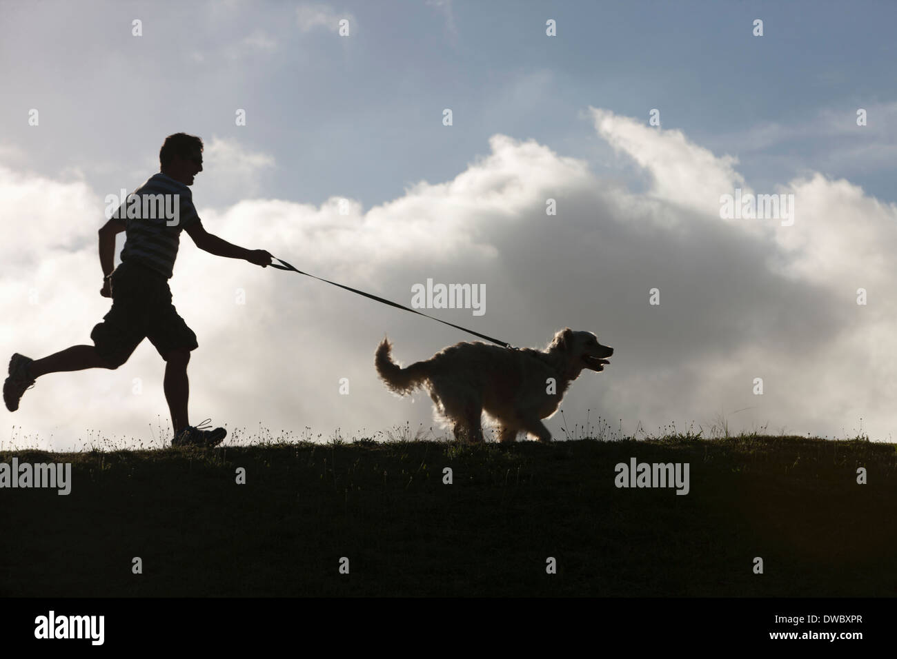 Mann mit Hund an der Leine läuft Stockfoto