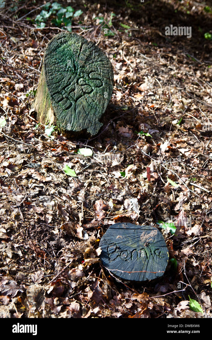 Ein Tierfriedhof in einem Wald mit 2 Baumstamm Grabsteine mit Haustieren Namen eingeschrieben. Stockfoto