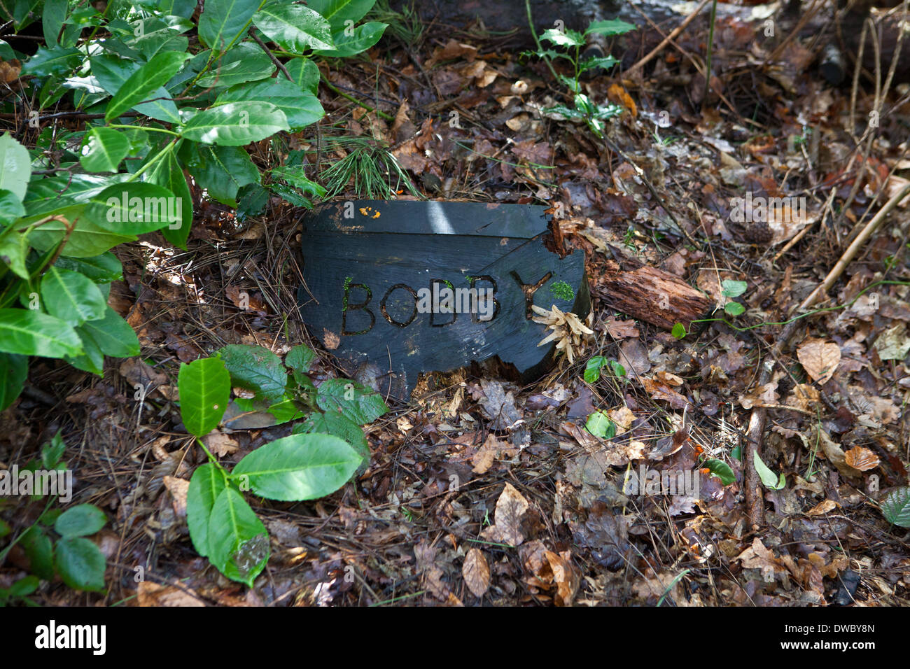 Ein Tierfriedhof im Wald, mit einem Baumstamm Grabstein mit Haustiere Namen eingeschrieben. Stockfoto