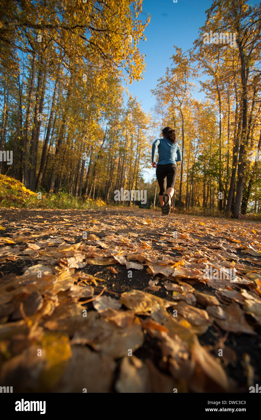 Frau läuft auf einem Pfad bedeckt im Herbst mit Laub. Stockfoto