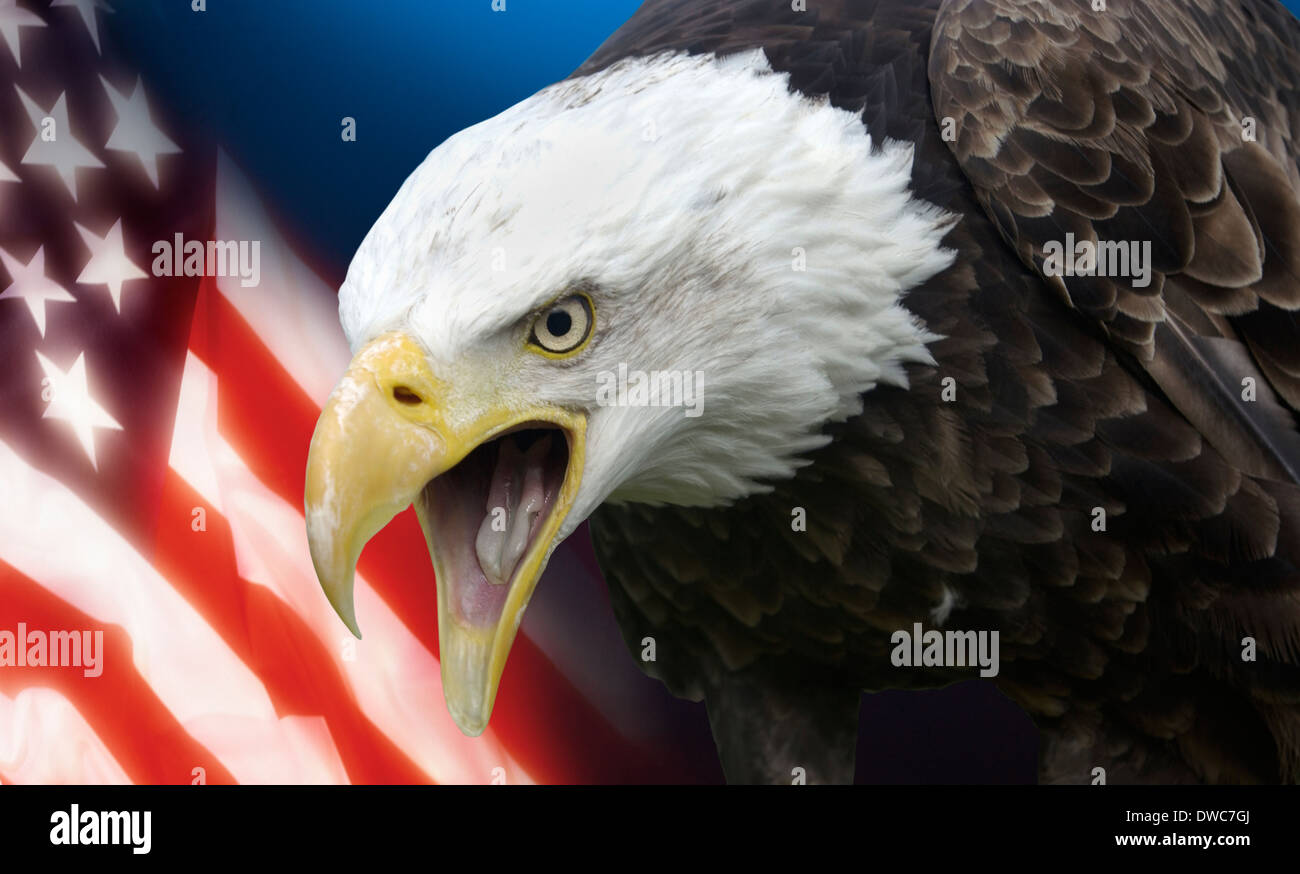 Patriotische Symbole der Vereinigten Staaten von Amerika. Stockfoto
