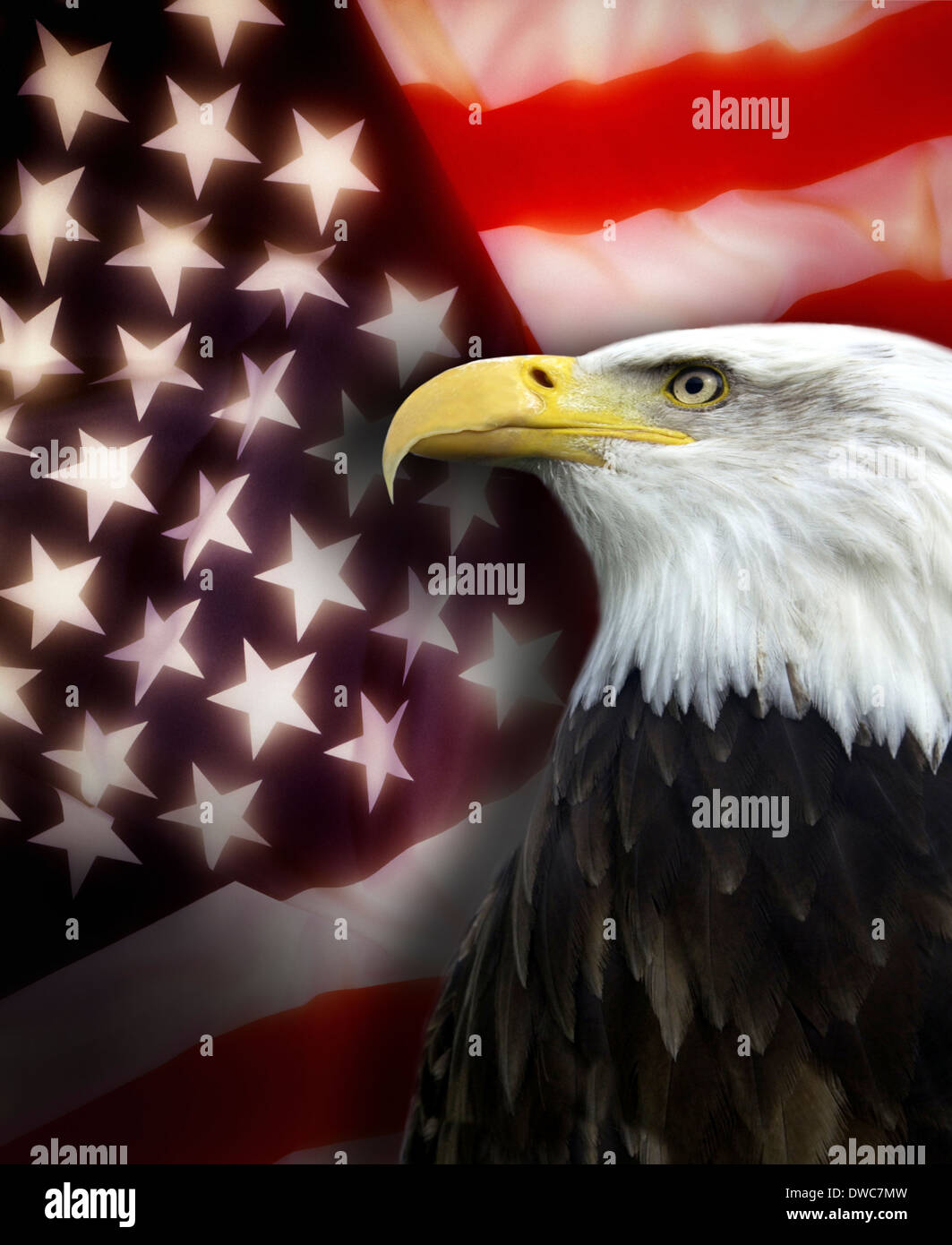 Patriotische Symbole der Vereinigten Staaten von Amerika. Stockfoto