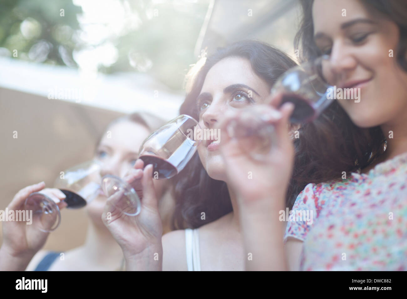 Junge Freundinnen schmecken und riechen Wein im Weinberg Stockfoto