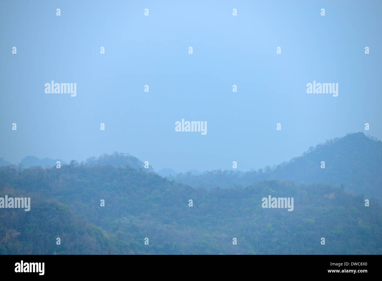 Regenwald auf Berg Stockfoto