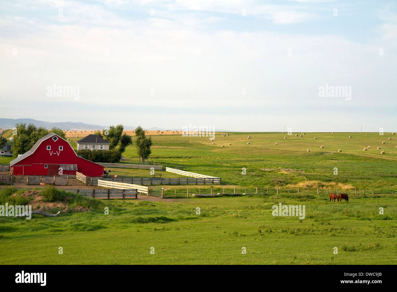 Rote Scheune und Ackerland südlich von Pincher Creek, Alberta, Kanada. Stockfoto