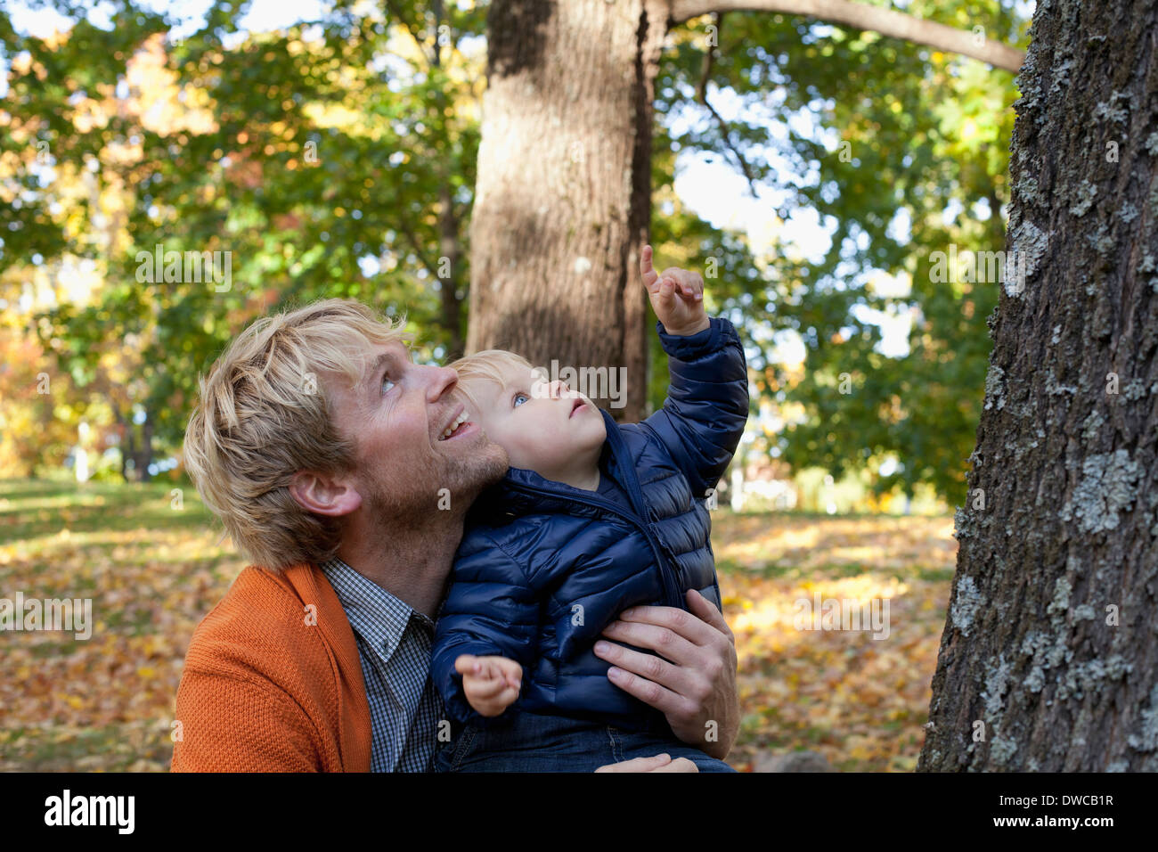 Vater und Sohn spielen an Unterseite des Baums Stockfoto