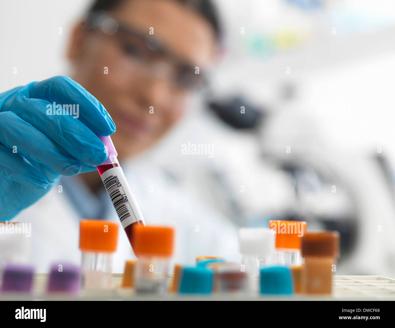 Wissenschaftlerin zu eine menschlichen Probe unter dem Mikroskop ansehen Stockfoto