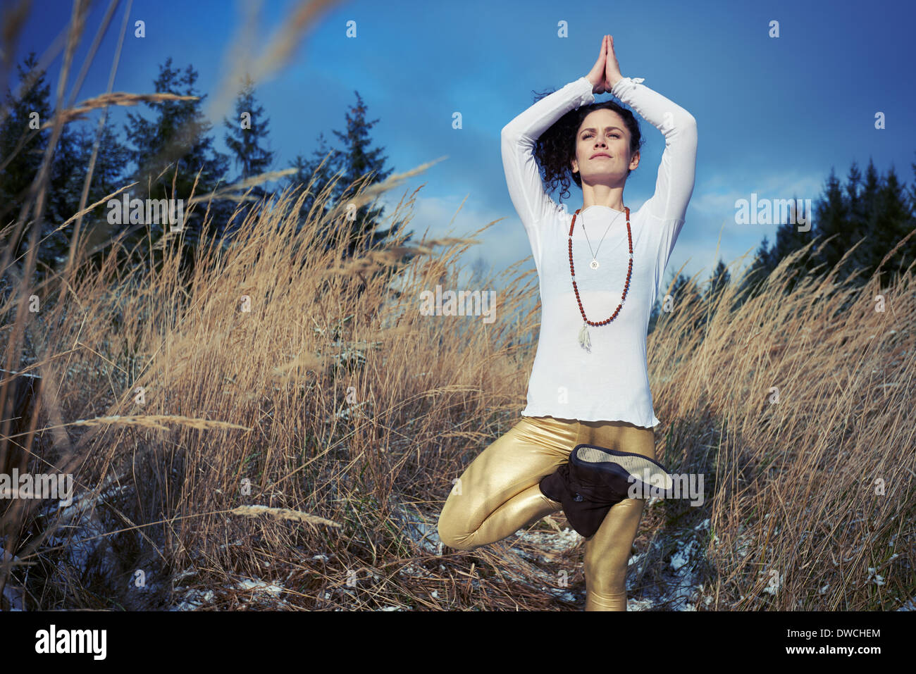 Mitte Erwachsene Frau stehenden Baum-Yoga-Pose im Wald zu tun Stockfoto