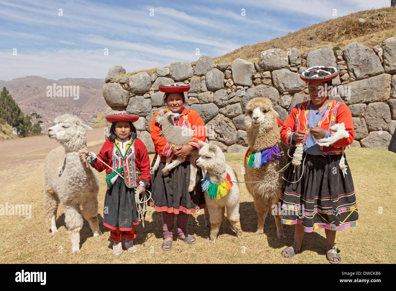 einheimischen Frauen und Mädchen mit Alpakas, Inka Festung Sacsayhuaman, Cuzco, Peru, Südamerika Stockfoto