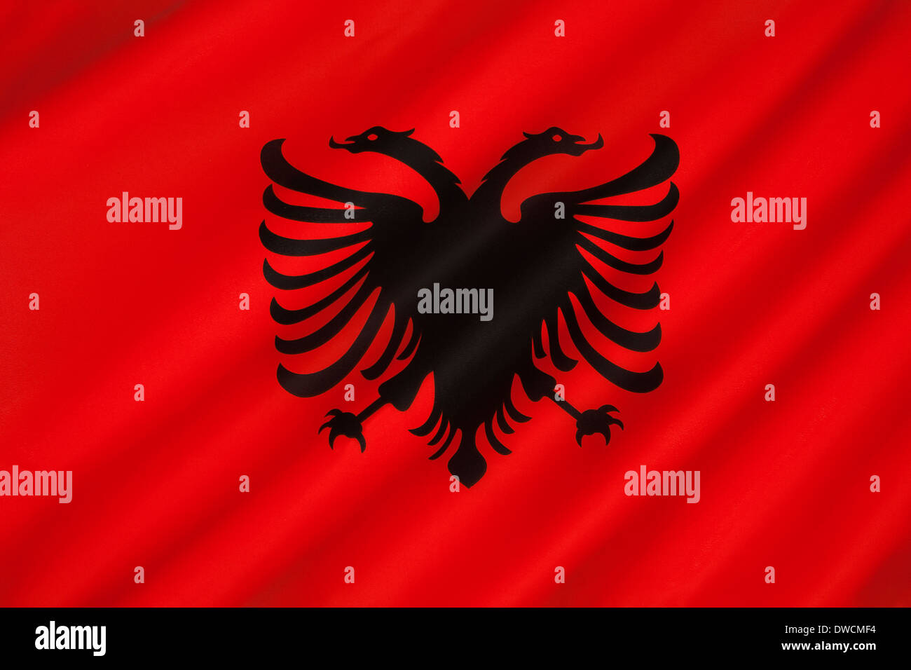 Flagge von Albanien Stockfoto