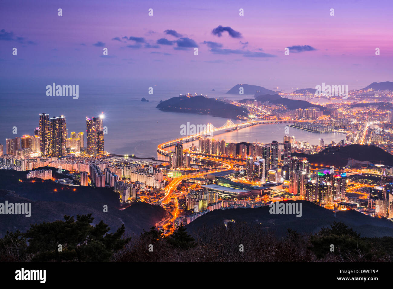 Skyline von Busan, Südkorea in der Nacht. Stockfoto