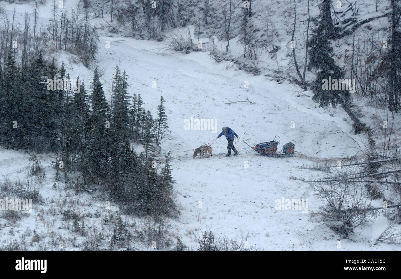 Anchorage, Alaska, USA. 4. März 2014. Ein Musher und zwei Hunde ziehen den Schlitten über einen kleinen Bach in der Mitte der Abschied brennen während des Iditarod Trail Sled Dog Race. Der Rest seiner Mannschaft wartete entlang des Weges weniger dann eine Meile vor ihm. © Bob Hallinen/Anchorage Daily News/ZUMAPRESS.com/Alamy Live News Stockfoto